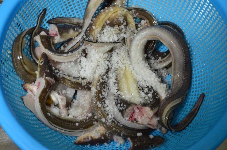 [여름철 보양식 장어국]경상도식 장어국 맛있게 끓여볼까요?