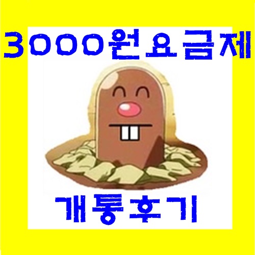 [중화] 공기계로 3000원짜리 요금제 하나더 개통했습니다!!!