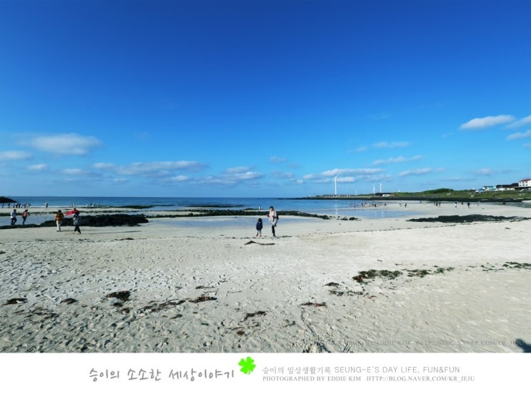  제주도 여행코스, 월정리 해변! 카페들이 있는 이국적인 해수욕장!