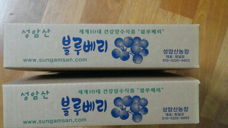  성암산블루베리