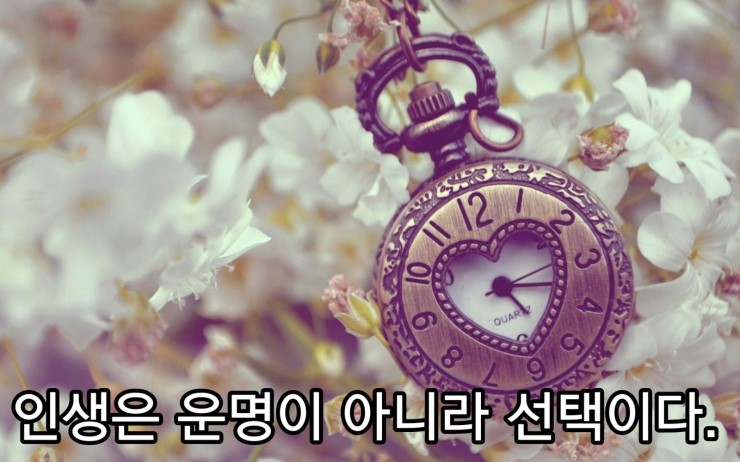 인생은 운명이 아니라 선택이다. 인생은 운명이 아니라 선택이다.