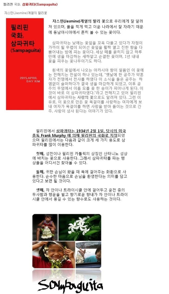  필리핀 여행을 위한 필리핀정보 국화는 삼파귀타  -  세부자유여행/골프투어/세부맛집마사지/시티나이트밤문화체험/세부풀빌라