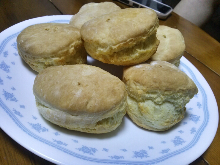  건빵맛나는 요거트 스콘 정녕이것이 스콘이란말인가