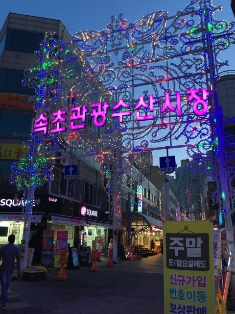  201507 속초 * 속초 관광 수산시장