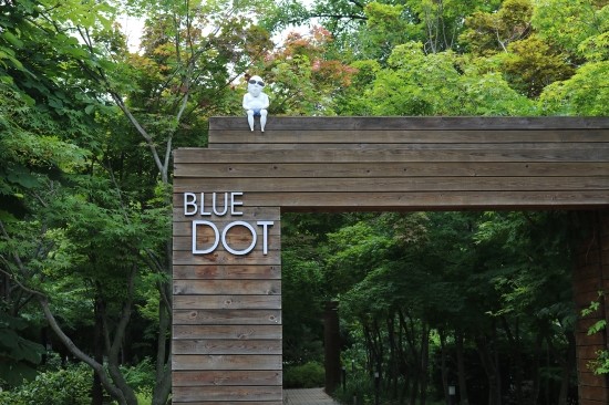  [대구근교카페]칠곡 블루닷_BLUE DOT