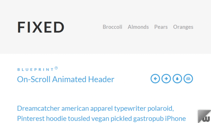 On-Scroll Animated Header