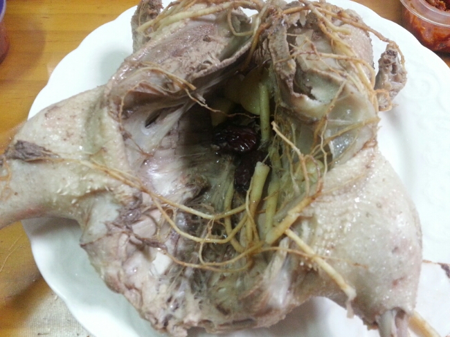  초복이니 삼계탕 말고 오리와닭 백숙으로