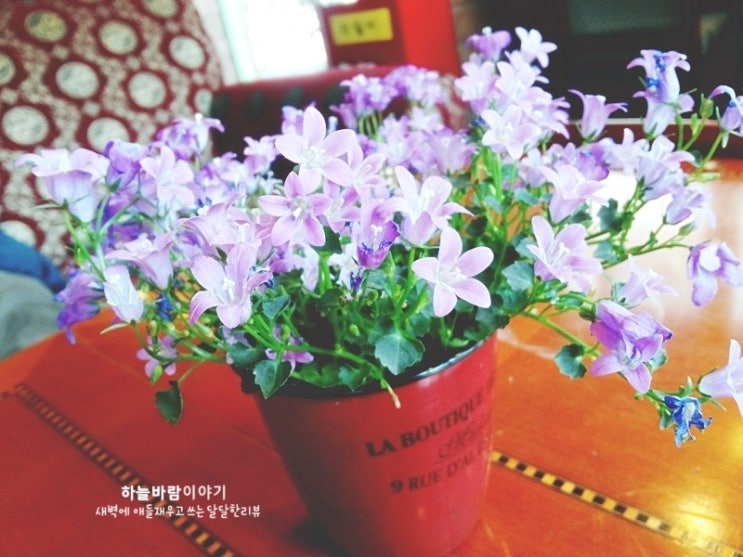  더러버(The Lover)