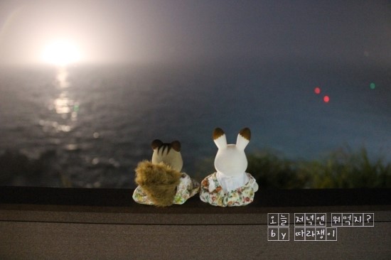  [제주] 용담해안도로 산책