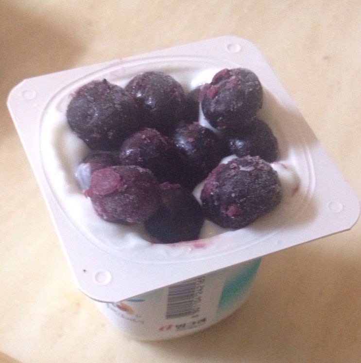  일일일식 육십일일