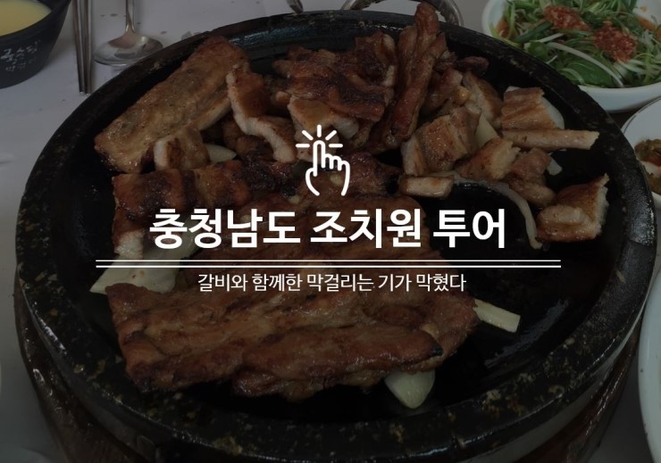  충청남도 조치원 맛집투어 다녀왔습니다.