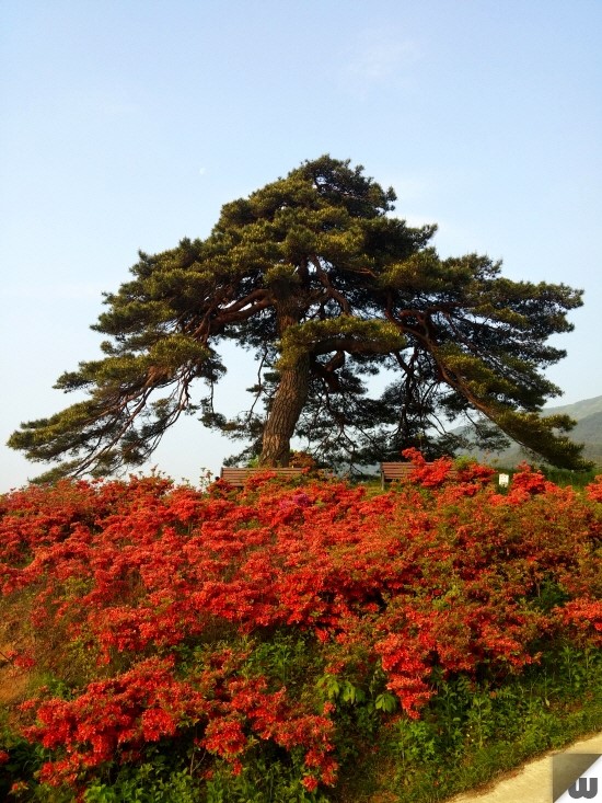 [전북/남원시] 5월 먹자모임 동훈형네 "장항마을"