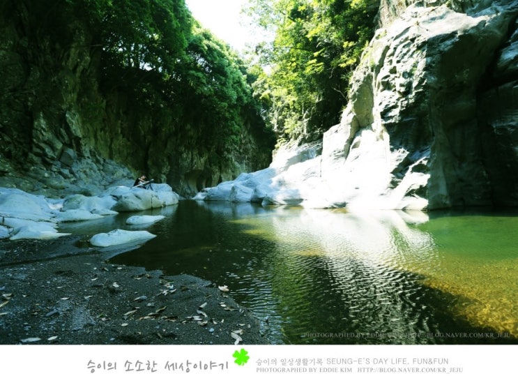  제주도 계곡, 무수천! 제주도의 숨은 명소로 추천합니다!