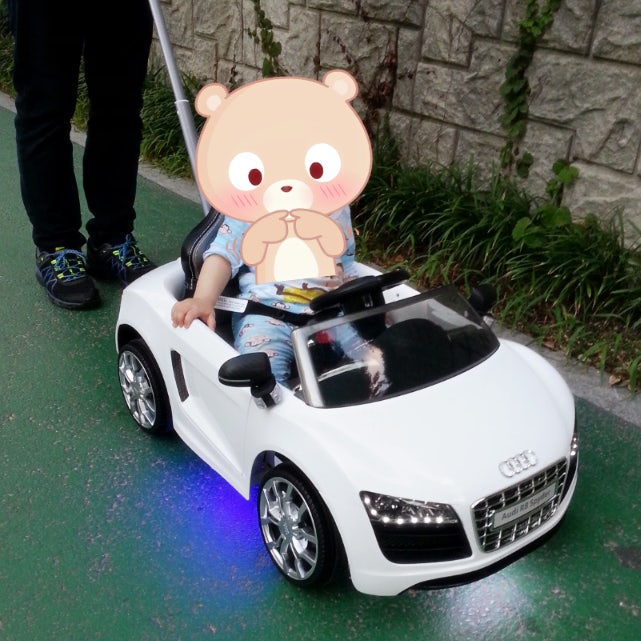 아우디 R8 푸쉬카