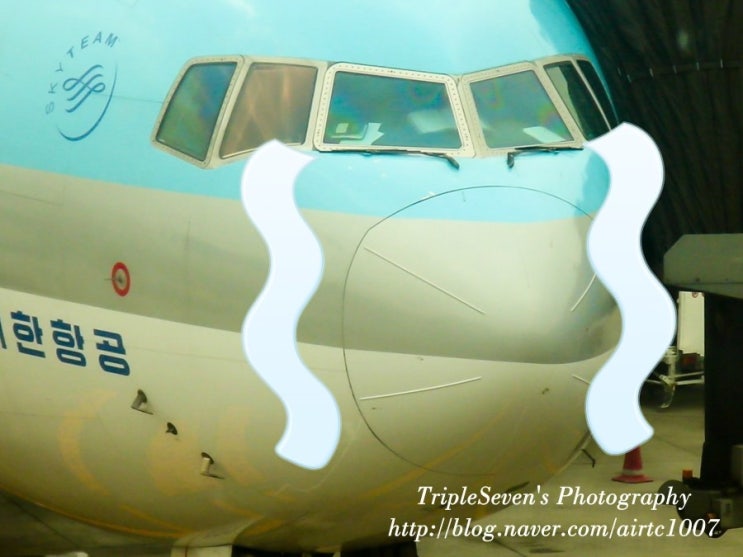  [TripleSeven/항공 뉴스] 대한항공·아시아나 울상...제주항공·진에어 미소?