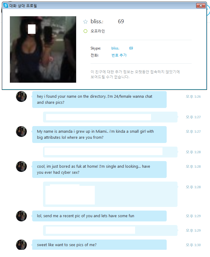  Skype 몸캠 사기