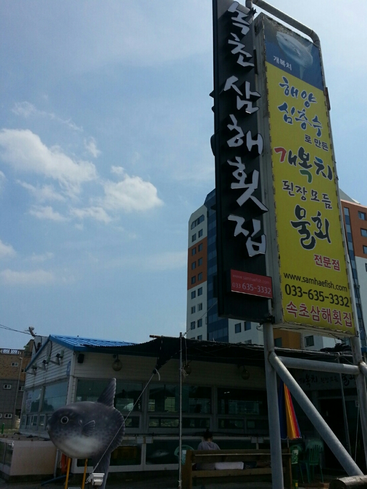 [속초물회 제대로~!] 속초 삼해횟집