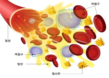 혼합물 정의 생물학