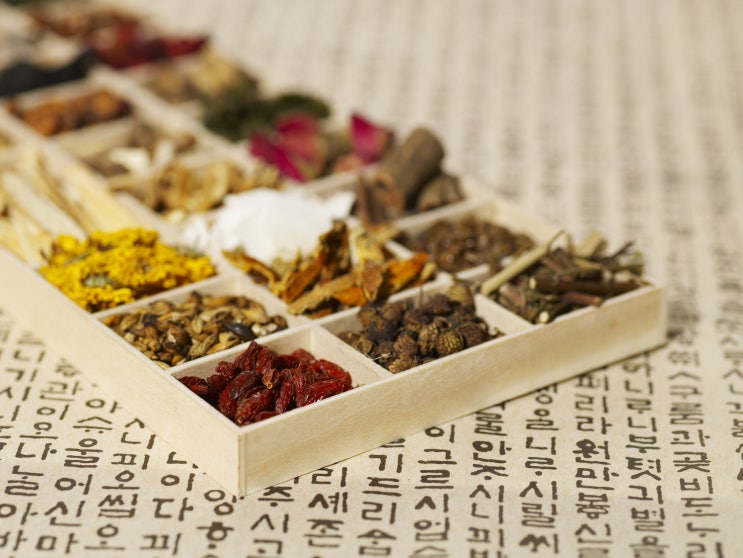 발무환: 흰머리 3