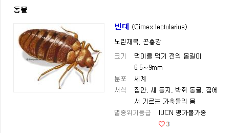  유럽여행시 주의할 점 :: 베드버그(Bed Bug)란?