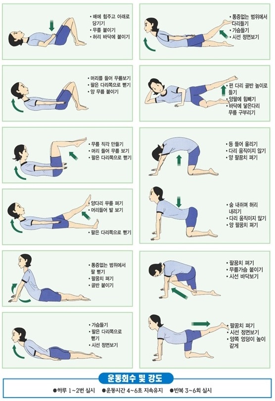 허리 통증 완화 운동/척추에 좋은 9