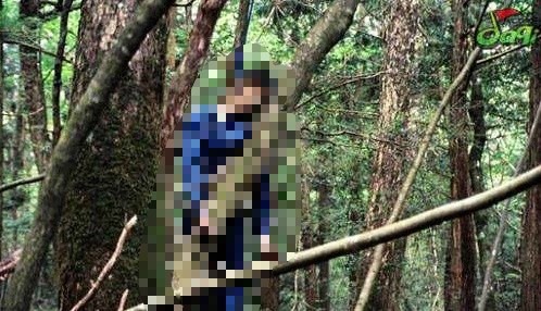 ê´´ê¸°ì €ìž¥ì†Œ ì¼ë³¸ì˜ ìžì‚´ëª…ì†Œ ì£½ìŒì˜ ìˆ² ì£¼ì¹´ì´ìˆ² ã˜ã‚…ã‹ã„ ë„¤ì´ë²„ ë¸