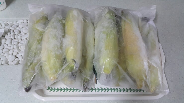 얼린 옥수수 찌는법 생옥수수 보관법