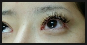 전주속눈썹증모술.전북대속눈썹연장술 전주속눈썹증모술.전북대속눈썹연장술