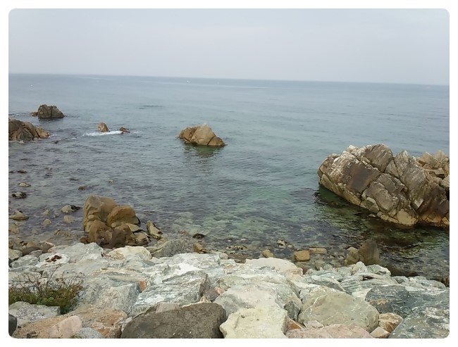  바다구경하러 영덕 다녀왔어요^^