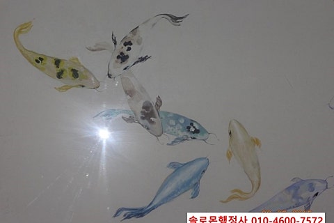 솔로몬행정사 이미지