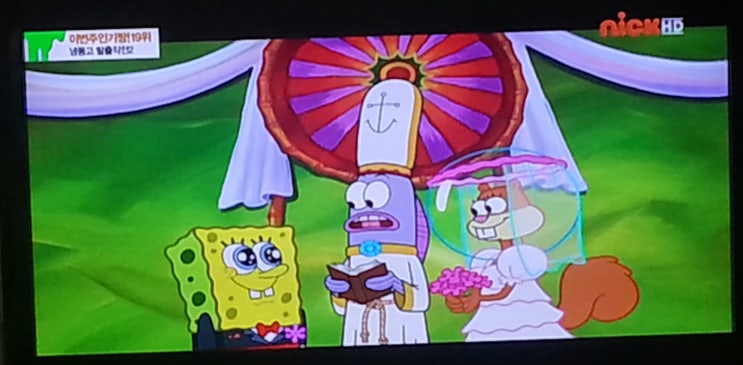 [잡담] 스폰지밥이랑 다람이 결혼하는 거 이거임; | 인스티즈