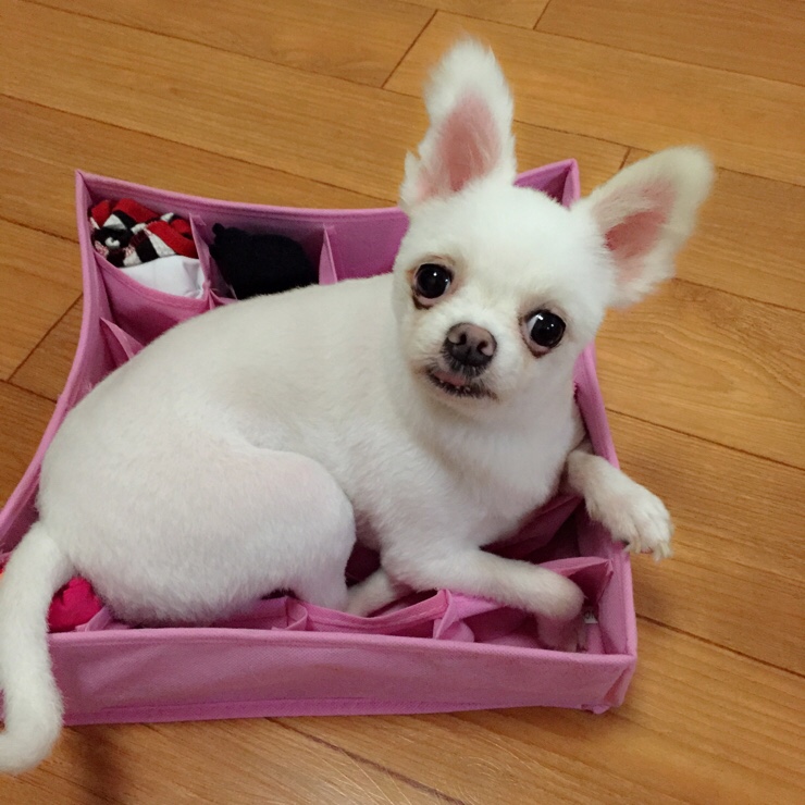  첫인사드립니다.