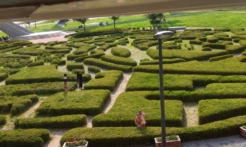 가재랑 물고기랑/뚝섬자벌레 7월에 다녀왔었네요^^ 