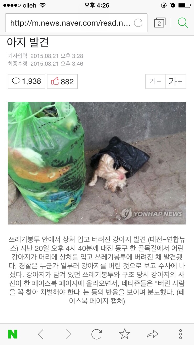  애완견/반려견/능지처참/비숑프리제/포메라이언/