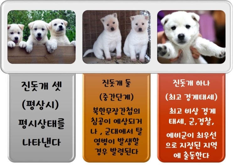  [김정은 준전시상태] 북한사격도발..진돗개하나..라...니..훈련소에있는 동생..ㅜㅜ