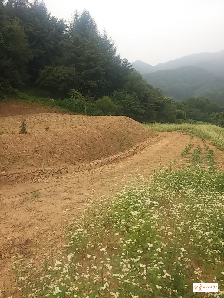 돌축대쌓기 - 산골이야기