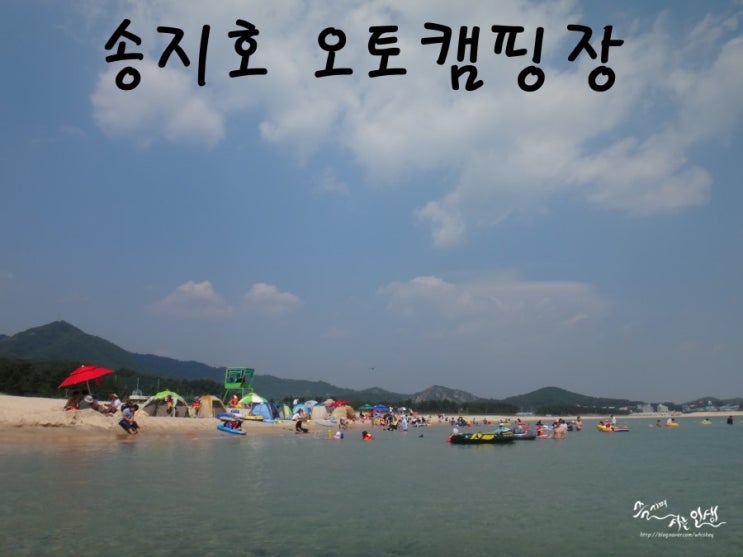  [강원도 캠핑장] 프라이빗 비치가 매력적인 송지호 오토캠핑장