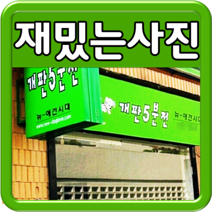  재밌는사진 모음 심심할때 보고가셈