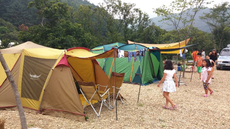  서종면 노산팔경캠핑장 [노산팔경캠핑장,양수리캠핑,서종면캠핑,물놀이,다슬기,물고기,매운탕]