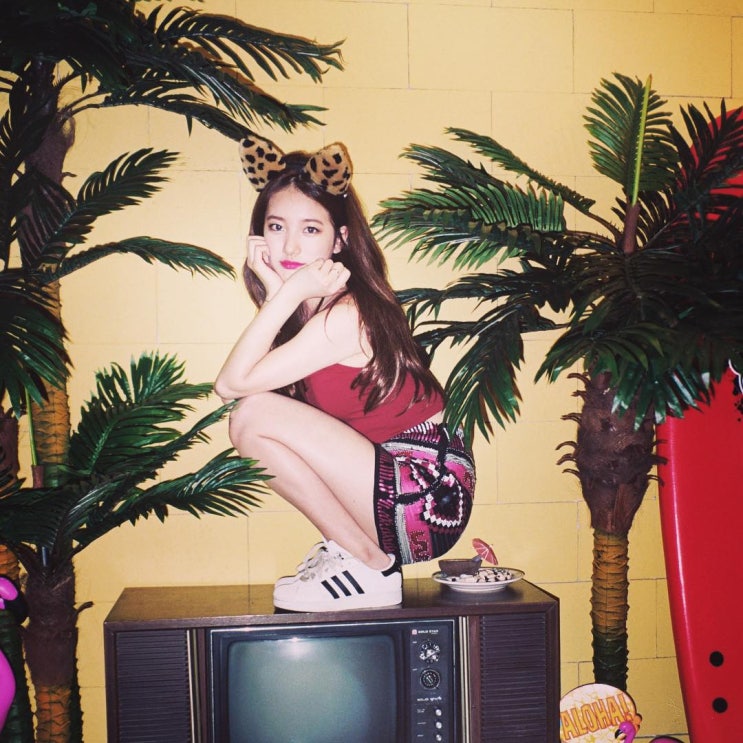  수지 사진