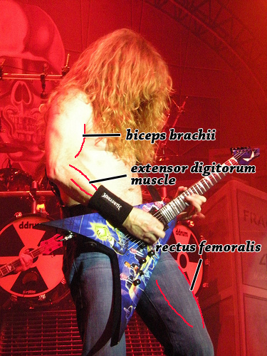 데이브 머스테인 연감