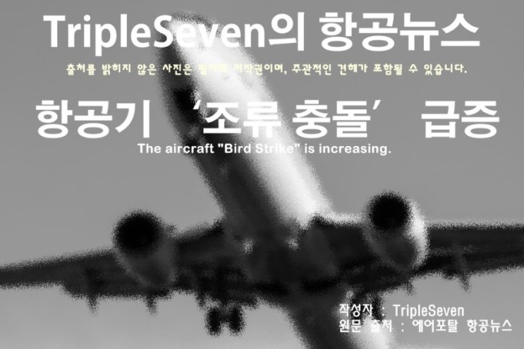 [TripleSeven/항공 뉴스] 항공기 조류 충돌 급증!