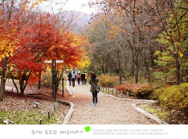  가을여행지, 제이드가든에서 산책하기!