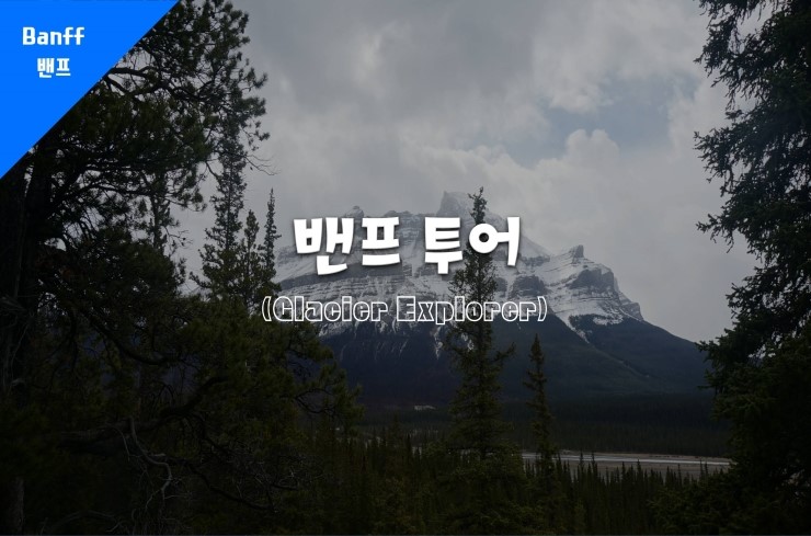  [밴프] 밴프 Glacier Explorer