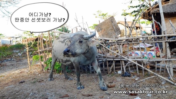  인도네시아 여행)롬복 신혼여행을 노보텔에서 !!! (2편)