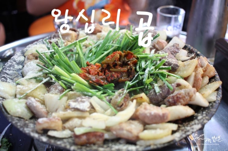  [왕십리곱창맛집] 한양대 곱창맛집 곱 