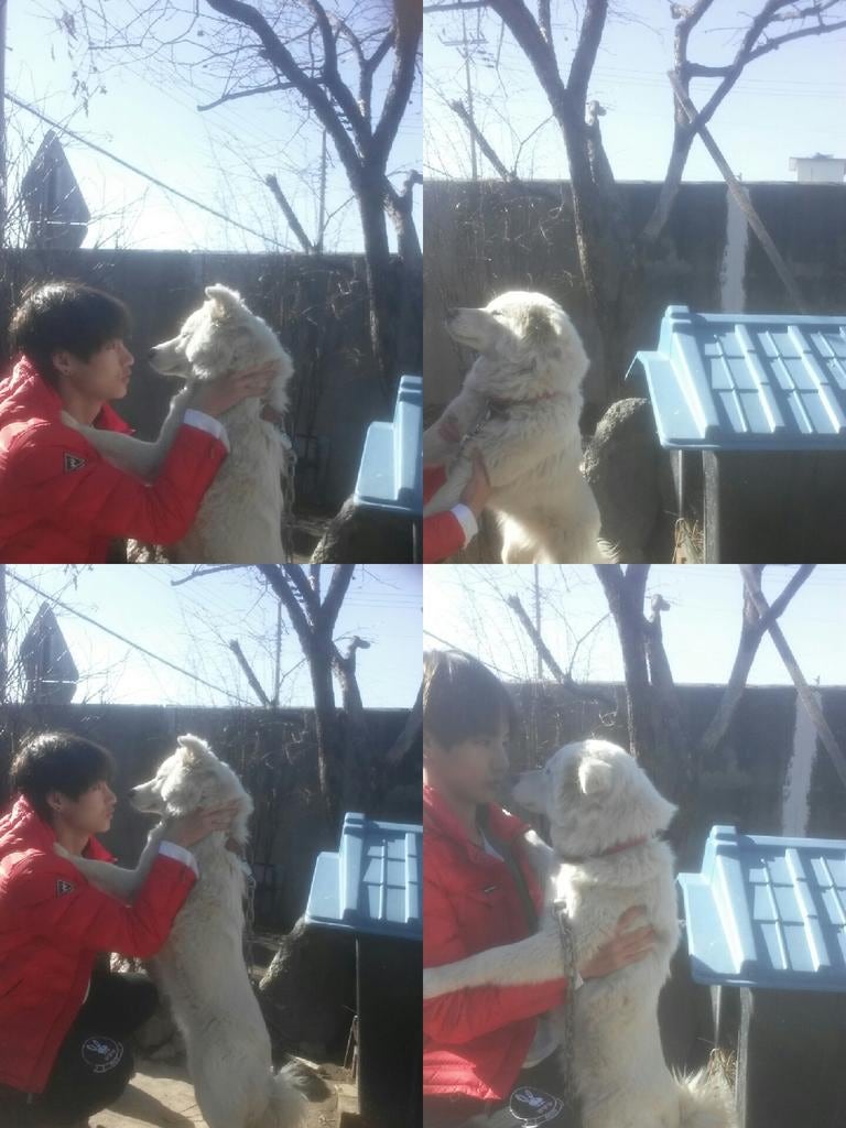 [일코짤] 방탄소년단 일코짤,남친짤 모음 2