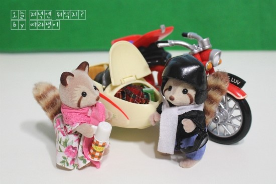  [실바니안] 부릉부릉~ 멋쟁이 노부부의 외출 (모터사이클&사이드카)