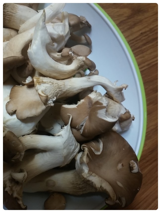 진짜 고기맛나는 버섯이예요>.<