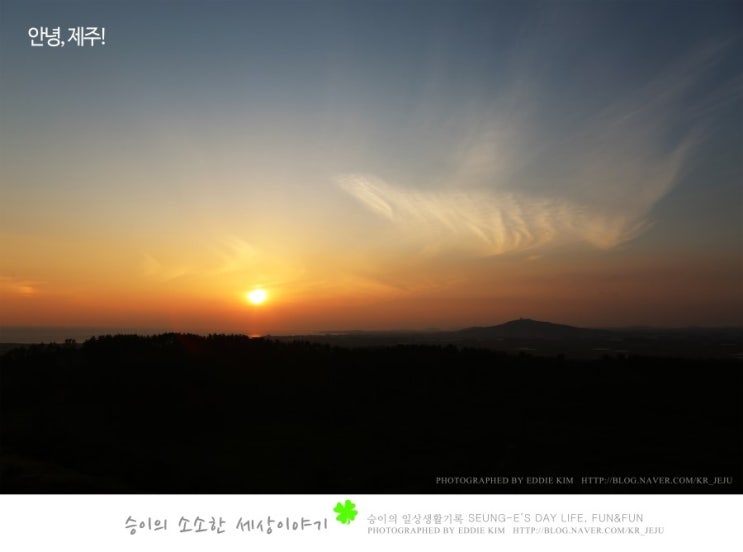  굿바이 제주! 이제 육지에서 새로운 삶을 시작합니다!